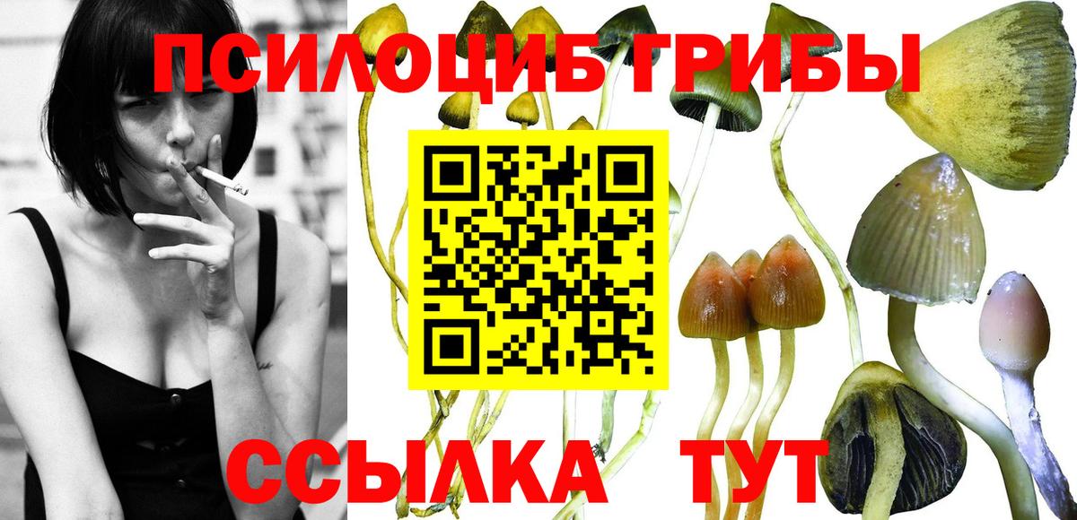 Псилоцибиновые грибы MAGIC MUSHROOMS Шадринск