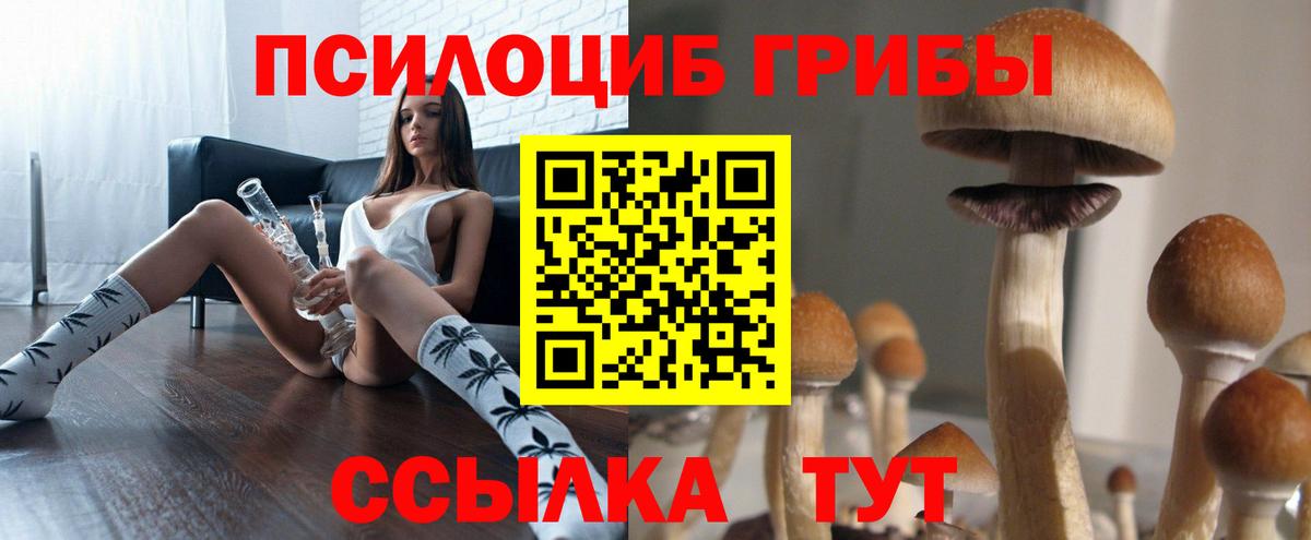 Псилоцибиновые грибы Psilocybe  Вход с VPN  где найти наркотики  Шадринск  Галлюциногенные грибы GOLDEN TEACHER 
